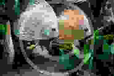 Looking for aquarium specialists?