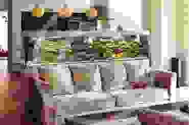 Freshwater Aquarium Setups and Care