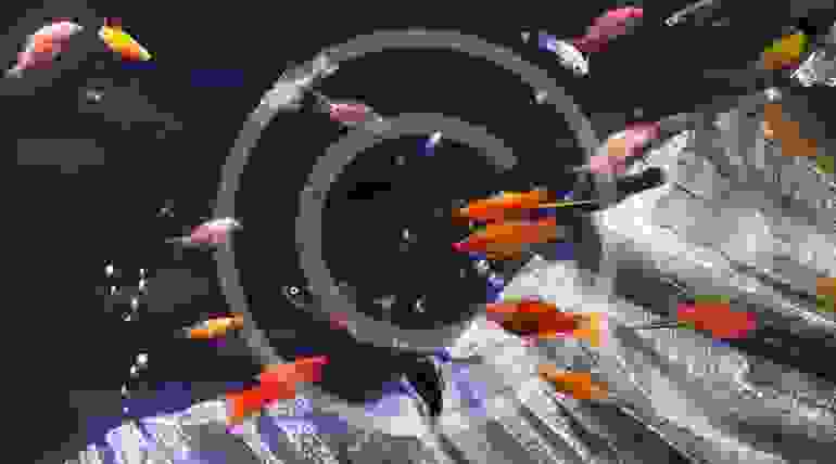 Guide to Keeping Freshwater Sword Tails